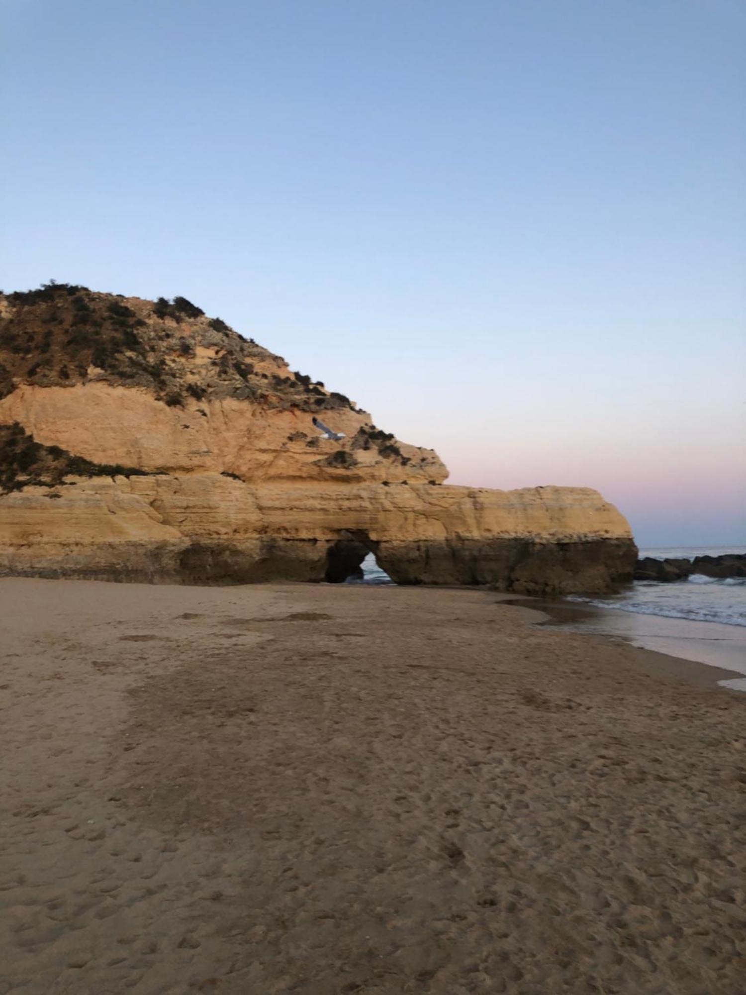 Clube Da Rocha Ii Apartment Portimao